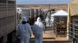 U.S. reopens New Mexico port to Mexican cattle under new screwworm safeguards