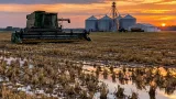 Arkansas rice leaders ask Boozman for more federal help as farmers face pressure