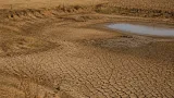 USDA opens emergency drought loans for producers in 4 Arkansas counties