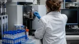 UAMS researchers publish T‑cell exhaustion findings in Cell, flagging advances for immunotherapy