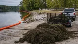 Game and Fish, Army Corps respond to giant salvinia found near Millwood Lake