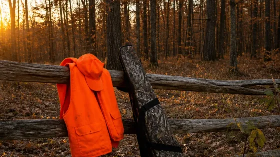 Arkansas marks 50 years of mandatory blaze orange for firearms deer seasons