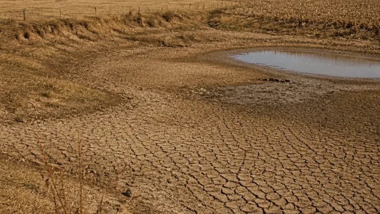 USDA opens emergency drought loans for producers in 4 Arkansas counties